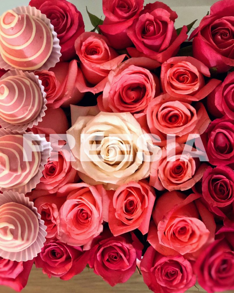 flores y rosas